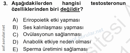 3. soru: Aşağıdakilerden hangisi testosteronun özelliklerinden biri değildir? A) Eriropoietik etki yapması B) Ses kalınlaşması…