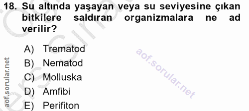 18. soru: Su altında yaşayan veya su seviyesine çıkan bitkilere saldıran organizmalara ne ad verilir? A) Trematod B) Nematod C)…