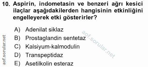 10. soru: Aspirin, indometasin ve benzeri ağrı kesici ilaçlar aşağıdakilerden hangisinin etkinliğini engelleyerek etki gösterir…