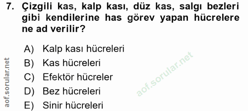 7. soru: Çizgili kas, kalp kası, düz kas, salgı bezleri gibi kendilerine has görev yapan hücrelere ne ad verilir? A) Kalp kası…