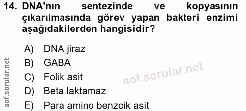 14. soru: DNA'nin sentezinde ve kopyasının çıkarılmasında görev yapan bakteri enzimi aşağıdakilerden hangisidir? A) DNA jiraz B…