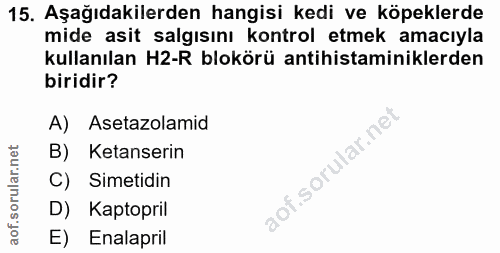 15. soru: Aşağıdakilerden hangisi kedi ve köpeklerde mide asit salgısını kontrol etmek amacıyla kullanılan H2-R blokörü antihis…