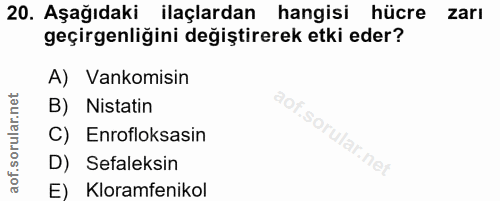 20. soru: Aşağıdaki ilaçlardan hangisi hücre zarı geçirgenliğini degiştirerek etki eder? A) Vankomisin B) Nistatin aof.sorular.…