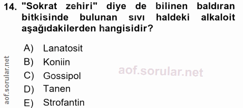 14. soru: "Sokrat zehiri" diye de bilinen baldıran bitkisinde bulunan sıvı haldeki alkaloit aşağıdakilerden hangisidir? A) Lana…