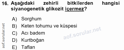 16. soru: Aşağıdaki zehirli bitkilerden hangisi siyanogenetik glikozit içermez? A) Sorghum B) Keten tohumu ve küspesi C) Acı ba…