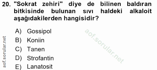 20. soru: "Sokrat zehiri" diye de bilinen baldıran bitkisinde bulunan sıvı haldeki alkaloit aşağıdakilerden hangisidir? A) Goss…
