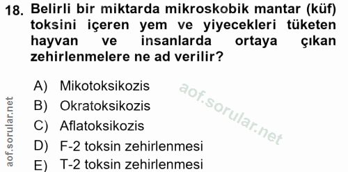 18. soru: Belirli bir miktarda mikroskobik mantar (küf) toksini içeren yem ve yiyecekleri tüketen hayvan ve insanlarda ortaya ç…
