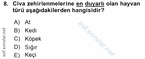 8. soru: Civa zehirlenmelerine en duyarlı olan hayvan türü aşağıdakilerden hangisidir? A) At B) Kedi C) Köpek D) Sığır E) Keçi