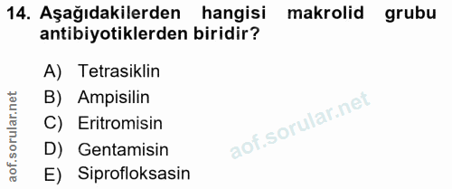 14. soru: Aşağıdakilerden hangisi makrolid grubu antibiyotiklerden biridir? A) Tetrasiklin B) Ampisilin C) Eritromisin D) Genta…
