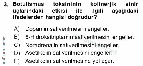 3. soru: Batilimus toksininin kolinerjik sinir uçlarındaki etkisi ile ilgili aşağıdaki ifadelerden hangisi doğrudur? A) Dopami…