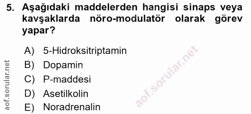 5. soru: Aşağıdaki maddelerden hangisi sinaps veya kavşaklarda nöro-modulatör olarak görev yapar? A) 5-Hidroksitriptamin B) Do…