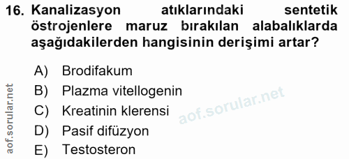 16. soru: Kanalizasyon atıklarındaki sentetik östrojenlere maruz bırakılan alabalıklarda aşağıdakilerden hangisinin derişimi ar…