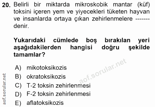 20. soru: Belirli bir miktarda mikroskobik mantar (küf) toksini içeren yem ve yiyecekleri tüketen hayvan ve insanlarda ortaya ç…