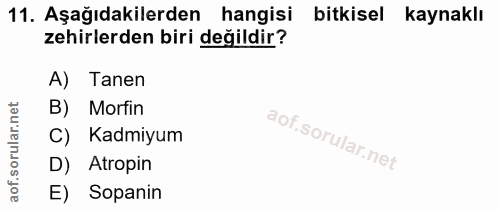 11. soru: Aşağıdakilerden hangisi bitkisel kaynaklı zehirlerden biri değildir? A) Tanen rular.net B) Morfin C) Kadmiyum D) Atro…