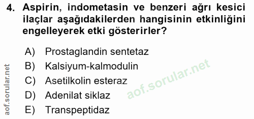 4. soru: Aspirin, indometasin ve benzeri ağrı kesici ilaçlar aşağıdakilerden hangisinin etkinliğini engelleyerek etki gösterir…