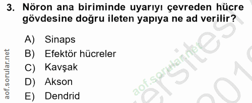 3. soru: Nöron ana biriminde uyarıyı çevreden hücre gövdesine doğru ileten yapıya ne ad verilir? A) Sinaps B) Efektör hücreler…