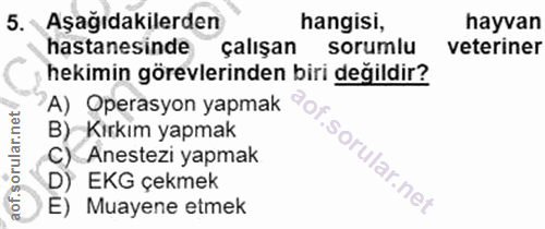 5. soru: Aşağıdakilerden hangisi, hayvan hastanesinde çalışan sorumlu veteriner hekimin görevlerinden biri değildir? A) Operas…