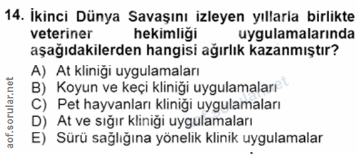 14. soru: İkinci Dünya Savaşını izleyen yıllarla birlikte veteriner hekimliği uygulamalarında aşağıdakilerden hangisi ağırlık k…
