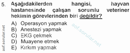 5. soru: Aşağıdakilerden hangisi, hayvan hastanesinde çalışan sorumlu veteriner hekimin görevlerinden biri değildir? A) Operas…