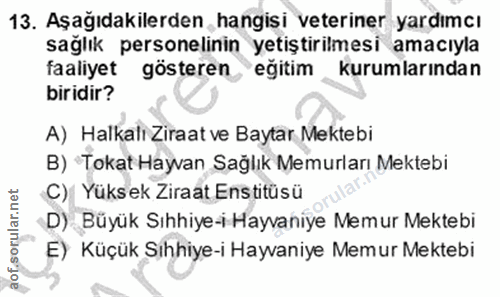 13. soru: Aşağıdakilerden hangişi veteriner yardımcı sağlık personelinin yetiştirilmesi amacıyla faaliyet gösteren eğitim kurum…