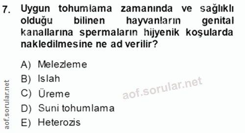 7. soru: Uygun tohumlama zamanında ve sağlıklı olduğu bilinen hayvanların genital kanallarına spermaların hijyenik koşularda n…