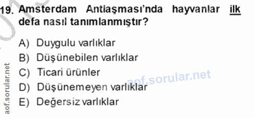 19. soru: Amsterdam Antlaşması'nda hayvanlar ilk defa nasıl tanımlanmıştır? A) Duygulu varlıklar B) Düşünebilen varlıklar C) Ti…