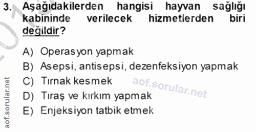 3. soru: Aşağıdakilerden hangisi hayvan sağlığı kabininde verilecek hizmetlerden değildir? A) Operasyon yapmak B) Asepsi, anti…