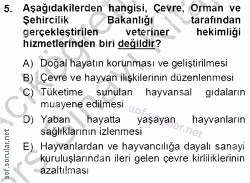 5. soru: Aşağıdakilerden hangisi, Çevre, Orman ve Şehircilik Bakanlığı tarafından gerçekleştirilen veteriner hekimliği hizmetl…