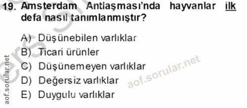 19. soru: Amsterdam Antlaşması'nda hayvanlar ilk defa nasıl tanımlanmıştır? A) Düşünebilen varlıklar B) Ticari ürünler C) Düşün…