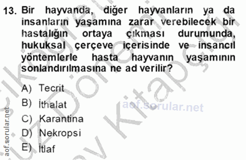 13. soru: Bir hayvanda, diğer hayvanların ya da insanların yaşamına zarar verebilecek bir hastalığın, ortaya çıkması durumunda,…