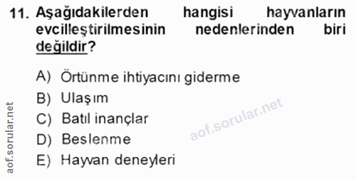 11. soru: Aşağıdakilerden hangisi hayvanların evcilleştirilmesinin nedenlerinden biri değildir? A) Örtünme ihtiyacını giderme B…