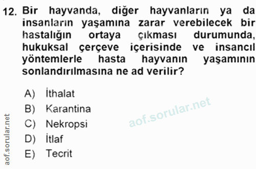 12. soru: Bir hayvanda, diğer hayvanların ya da insanların yaşamına zarar verebilecek bir hastalığın ortaya Çıkması durumunda,…