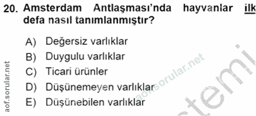20. soru: Amsterdam Antlaşması'nda hayvaniar defa nasıl tanımlanmıştır? A) Değersiz varlıklar B) Duygulu varlıklar D) Düşünemey…