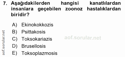 7. soru: Aşağıdakilerden hangisi kanatlılardan insanlara geçebilen zoonoz hastalıklardan biridir? A) Ekinokokkozis B) Psittako…