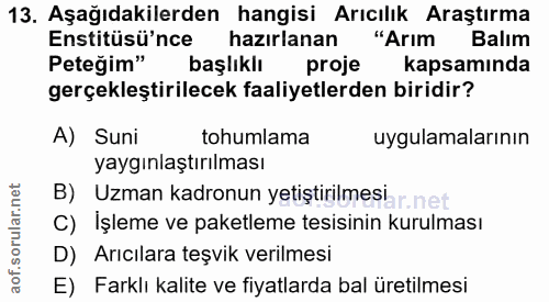 13. soru: Aşağıdakilerden hangisi Arıcılık Araştırma Enstitüsü'nce hazırlanan "Arım Balım Peteğim" başlıklı proje kapsamında ge…