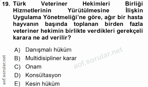 19. soru: Türk Veteriner Hekimleri Birliği Hizmetlerinin Yürütülmesine İlişkin Uygulama Yönetmeliği'ne göre, ağır bir hasta hay…