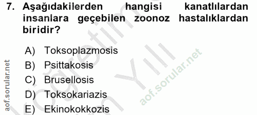 7. soru: Aşağıdakilerden hangisi kanatlılardan insanlara geçebilen zoonoz hastalıklardan biridir? A) Toksoplazmosis B) Psittak…