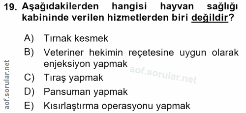 19. soru: Aşağıdakilerden hangisi hayvan sağlığı kabininde verilen hizmetlerden biri değildir? A) Tırnak kesmek B) Veteriner he…
