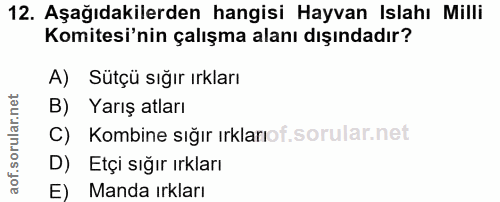 12. soru: Aşağıdakilerden hangisi Hayvan Islahı Milli Komitesi'nin çalışma alanı dışındadır? A) Sutçü sığır ırkları B) Yarış at…