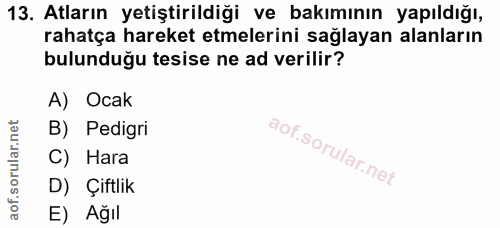 13. soru: Atların yetiştirildiği ve bakımının yapıldığı, rahatça hareket etmelerini sağlayan alanların bulunduğu tesise ne ad v…