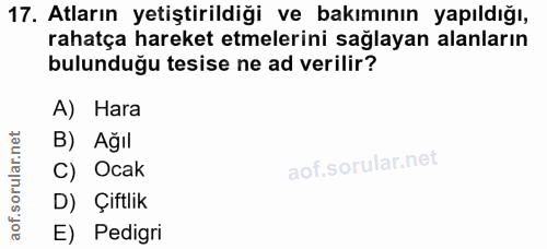 17. soru: Atların yetiştirildiği ve bakımının yapıldığı, rahatça hareket etmelerini sağlayan alanların bulunduğu tesise ne ad v…
