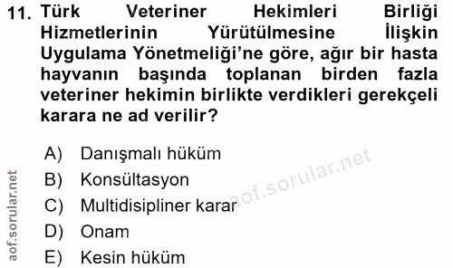 11. soru: Türk Veteriner Hekimleri Birliği Hizmetlerinin Yürütülmesine İlişkin Uygulama Yönetmeliği'ne göre, ağır bir hasta hay…