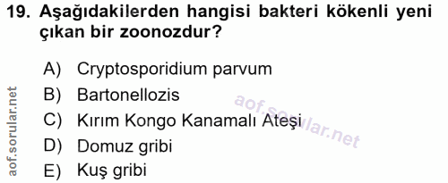 19. soru: Aşağıdakilerden hangisi bakteri kökenli yeni çıkan bir zoonozdur? A) Cryptosporidium parvum B) Bartonellozis C) Kırim…