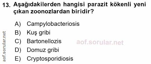 13. soru: Aşağıdakilerden hangisi parazit kökenli yeni çıkan zoonozlardan biridir? A) Campylobacteriosis B) Kuş gribi C) Barton…