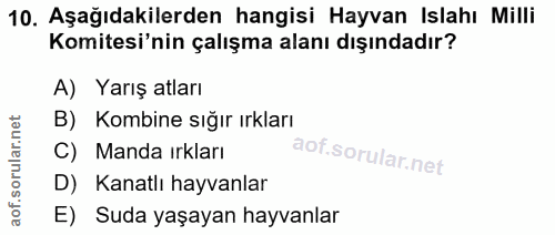 10. soru: Aşağıdakilerden hangisi Hayvan Islahı Milli Komitesi'nin çalışma alanı dışındadır? A) Yarış atları B) Kombine sığır ı…