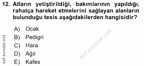 12. soru: Atların yetiştirildiği, bakımlarının yapıldığı, rahatça hareket etmelerini sağlayan alanların bulunduğu tesis aşağıda…
