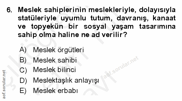 6. soru: Meslek sahiplerinin meslekleriyle, dolayısıyla statüleriyle uyumlu tutum, davranış, kanaat ve topyekün bir sosyal yaş…