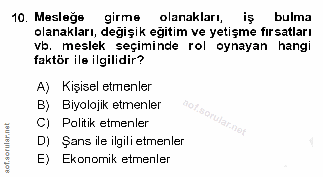 10. soru: Meslege girme olanakları, bulma olanakları, değişik eğitim ve yetişme fırsatları vb. meslek seçiminde rol oynayan han…