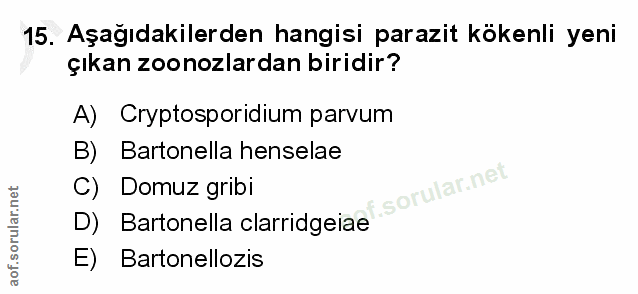 15. soru: Aşağıdakilerden hangisi parazit kokenli yeni çıkan zoonozlardan biridir? A) Cryptosporidium parvum B) Bartonella hens…