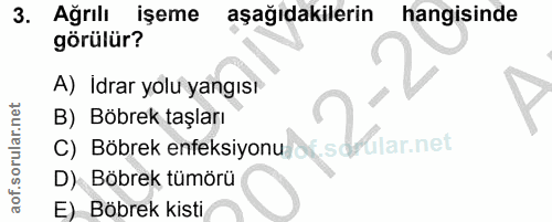 3. soru: Ağrılı işeme aşağıdakilerin hangisinde görülür? A) Idrar yolu yangısı B) Böbrek taşları C) Böbrek enfeksiyonu/df.sdMi…